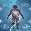medical genetics learn abnormal human variations