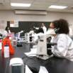 Medical Lab Technician