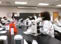 Medical Lab Technician