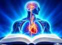 Medical Terminology 101: Learn Medical Words from Scratch