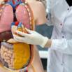 Medical Terminology for Medical Coding, Billing & Healthcare
