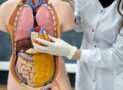 Medical Terminology for Medical Coding, Billing & Healthcare