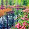 Meditation Tools For Doing Life