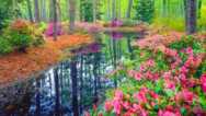 Meditation Tools For Doing Life
