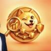 Meme Coins Explained: Scams, Hype and Risk