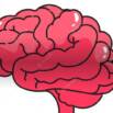 Mental Health Programming for the Community and Schools