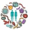 Microbiome Online Course