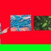 Microorganisms : Friend and Foe Class 8 Science NCERT