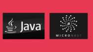 Microservices with Micronaut