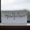 Mindfulness Meditation:  The Science And Practice