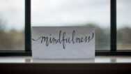 Mindfulness Meditation:  The Science And Practice