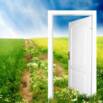 Mold / Mould: How To Improve Indoor Air Quality ?