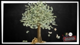 Money Seed