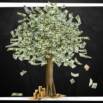 Money Seed