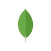 MongoDB for Developers: A Complete Guide(2025)