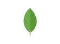 MongoDB for Developers: A Complete Guide(2025)