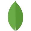 MongoDb Introduction course.
