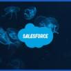 Mtfflo001 Master The Force Introduction To Salesforce Flows