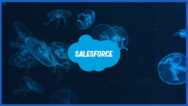Mtfflo001 Master The Force Introduction To Salesforce Flows