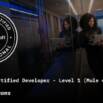 MuleSoft Certified Developer Level 1 (Mule 4) Exam Prep