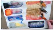 My 7 color watercolor palette sorted specially for beginners