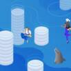 MySQL pour les débutants: Formation MySQL de A à Z
