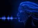 Natural Language Processing NLP Practice Tests – Basic/Adv