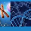 NEET – MOLECULAR BASIS OF INHERITANCE