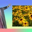 Nutrition In Plants Chapter 1 Class 7 Science