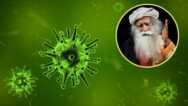 Offerings by Sadhguru to boost Immunity