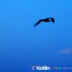 One hour Kotlin guide for beginners