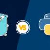Only For Genius : Golang Vs Python For Absolute Beginners