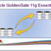 Oracle Goldengate 11g Essentials