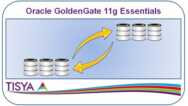 Oracle Goldengate 11g Essentials