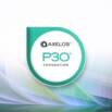 P3O Certification: Comprehensive Exam Preparation