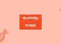 Palo Alto Networks PCNSE Network Security Practice Exams