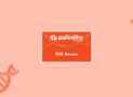 Palo Alto Networks PSE-Strata System Engineer Practice Exams