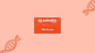Palo Alto Networks PSE-Strata System Engineer Practice Exams