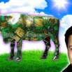 Passive income using ChatGPT & Google Bard & Voiceover AI