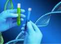 Patent Strategies in Biotechnology – Protecting Innovations