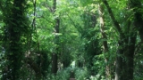 Pearl Escapes Online Mini Retreat  Your Next Step