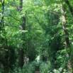 Pearl Escapes Online Mini Retreat  Your Next Step