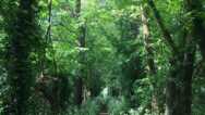 Pearl Escapes Online Mini Retreat  Your Next Step