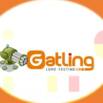 Performance Testing Using Gatling – Beginner Level