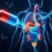 Pharmacology Fundamentals – Practice Tests