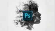 Photoshop CC: The Essentials of Photoshop In Just 2 hrs