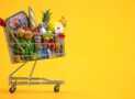 PHP Laravel: Build Food Ordering Ecommerce Store
