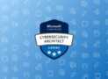 PL-600: MS Power Platform Solution Architect Practice Exams