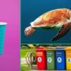 Plastic Waste Pollution: Causes, Impacts & Solutions