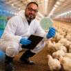 Practical Poultry Bacteriology